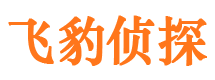 江门捉小三公司